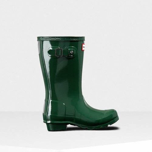 Hunter Original Gloss Wellies (W174Q) Ireland